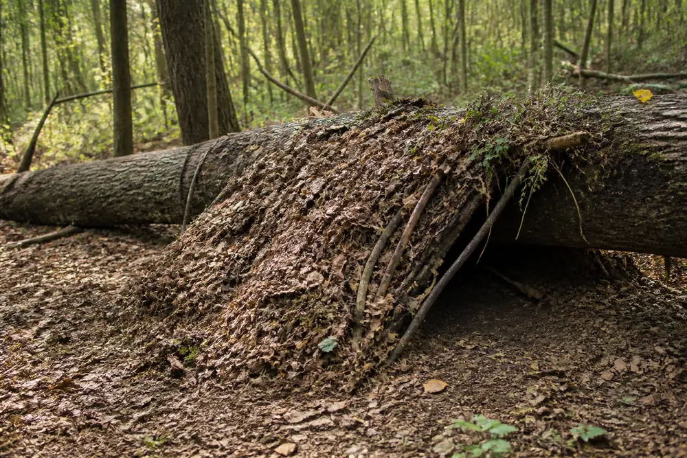 A low improvised shelter of branches and heaped leaves against a fallen trunk, just long enough for one person, with the open side facing away from the wind | KnowOutdoor