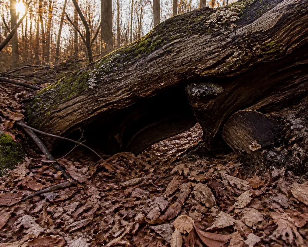 Why an Emergency Shelter Needs a Floor Before a Roof