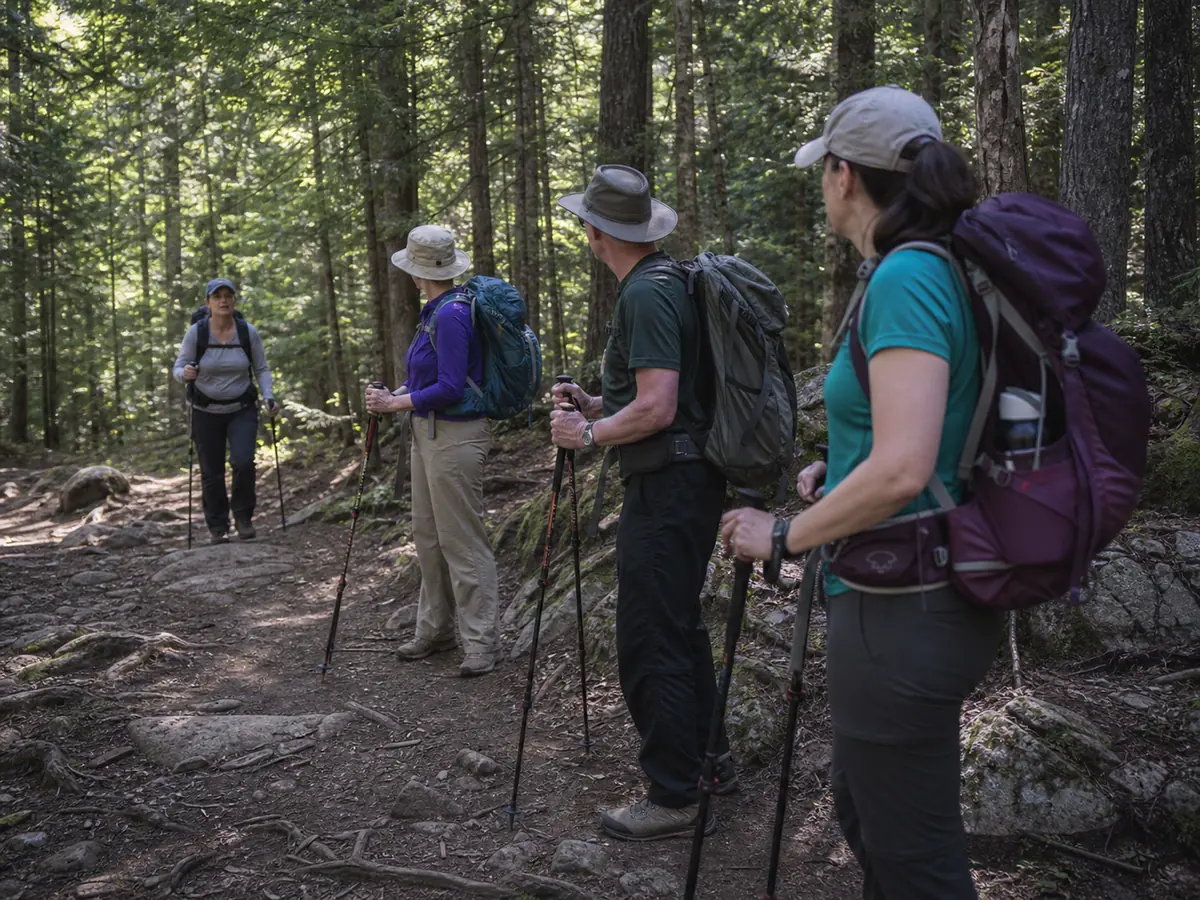 Four hikers waiting on a shaded forest trail while the last member catches up - hiking group navigation | KnowOutdoor