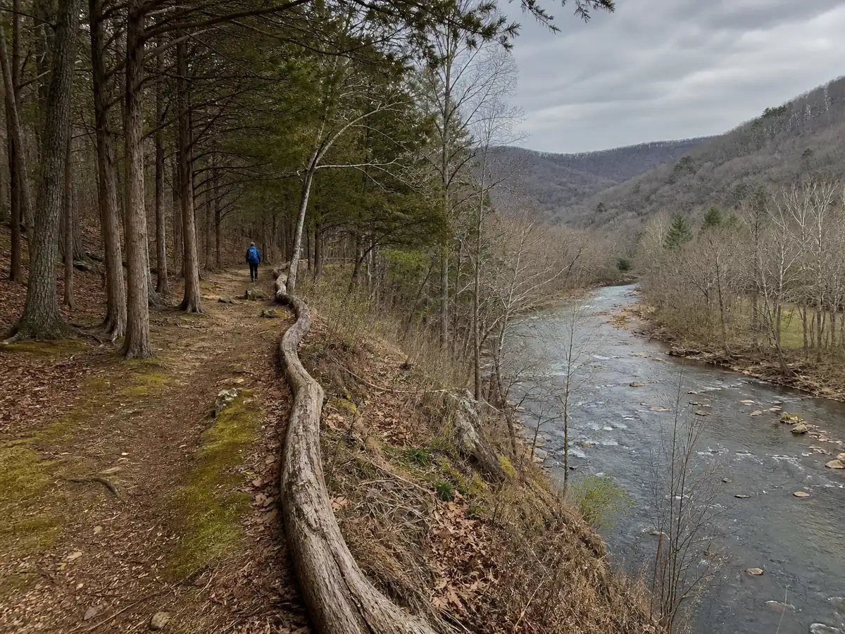 Hiker following a forest-edge trail above a clearly visible river - terrain handrail navigation | KnowOutdoor