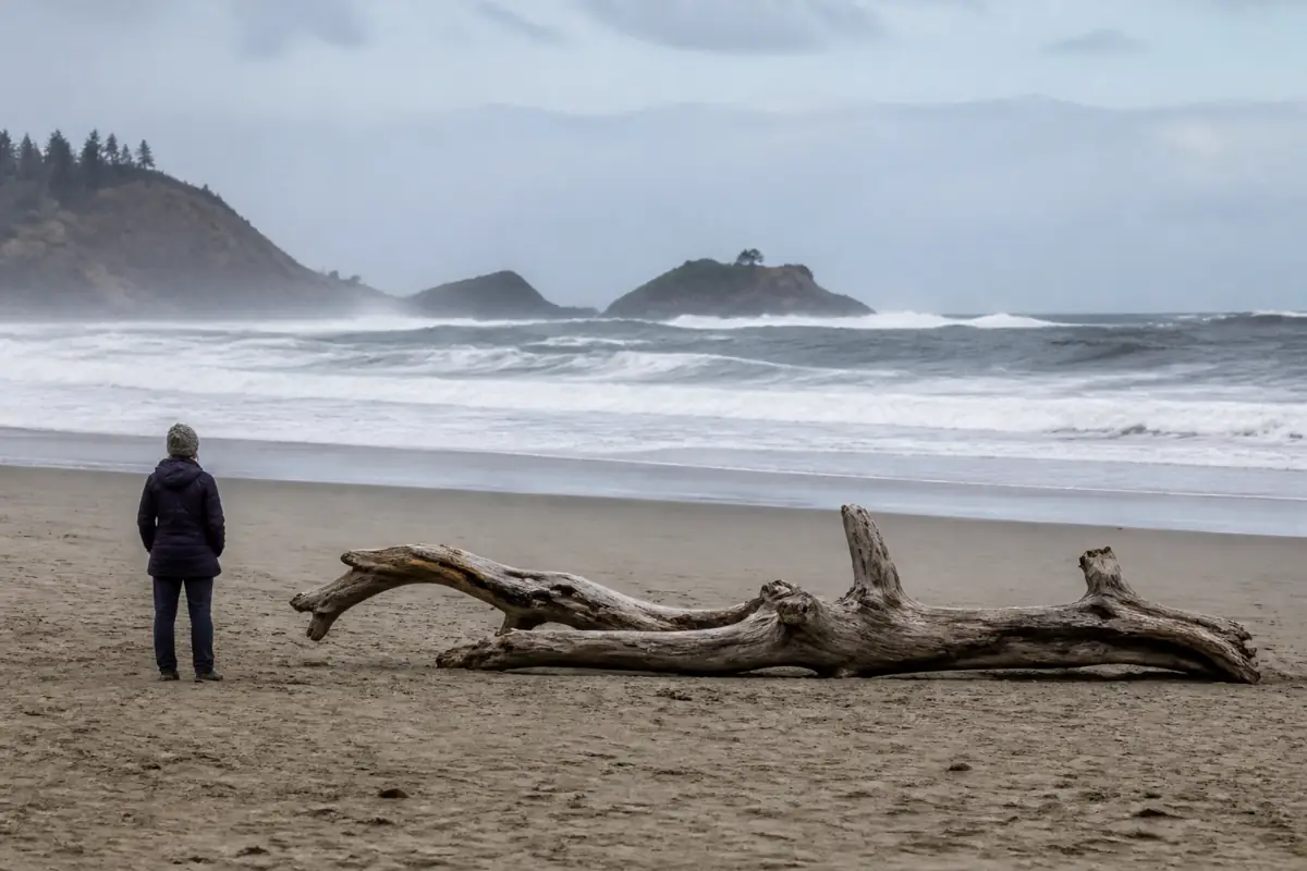 Walker remaining far inland from the wet-sand line on a generic cold Pacific-style beach