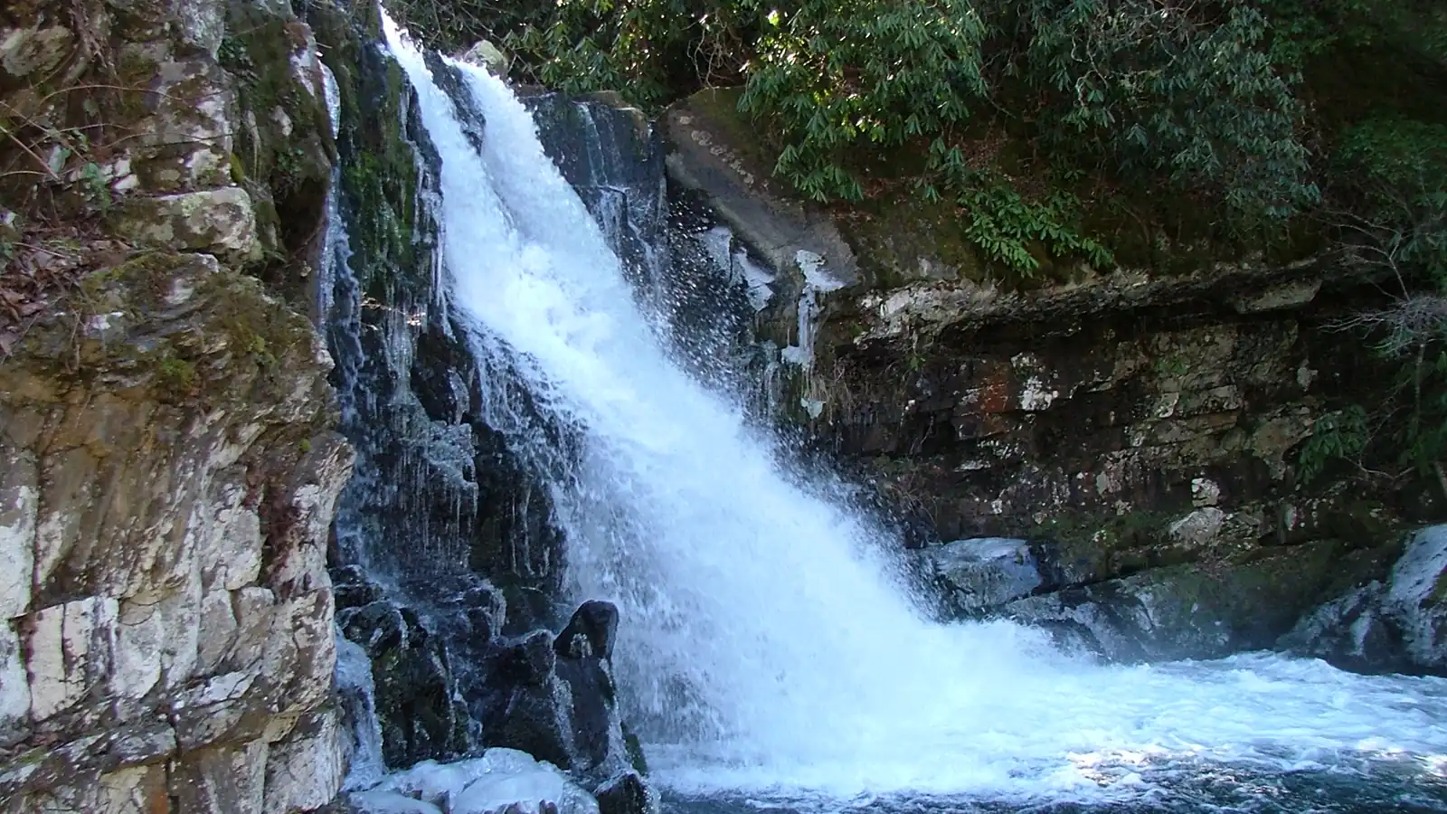 Abrams Falls Trail: 2026 Closures and Water Safety