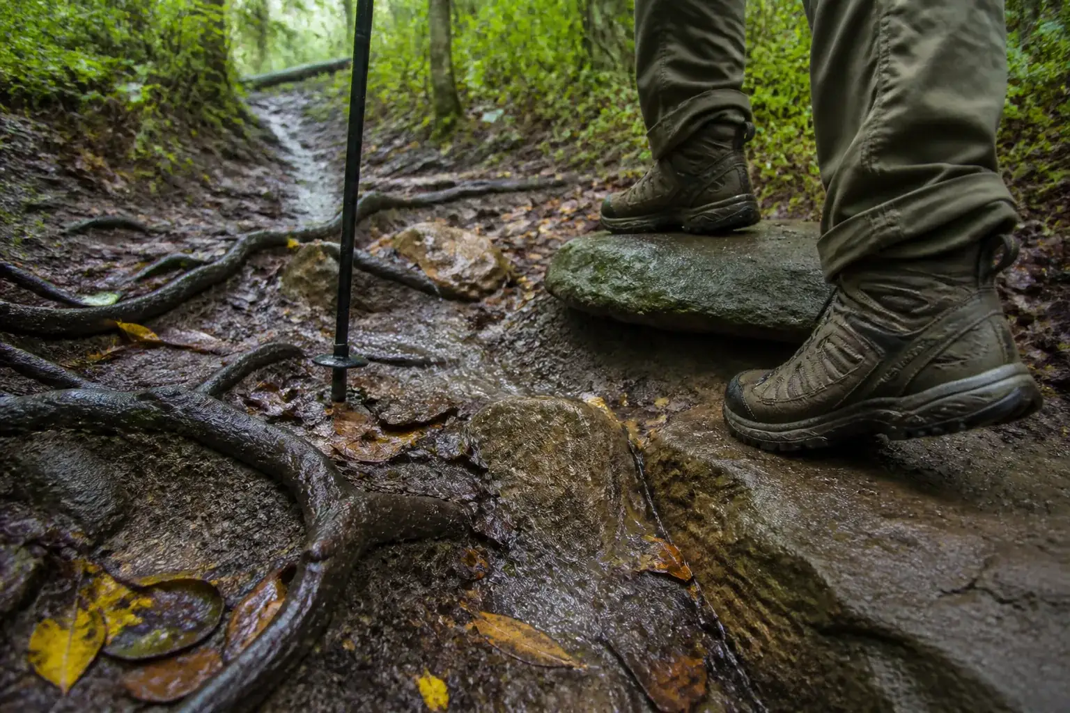 Hiking boots choosing a firm rock step among wet roots, mud, and leaves on a generic forest trail