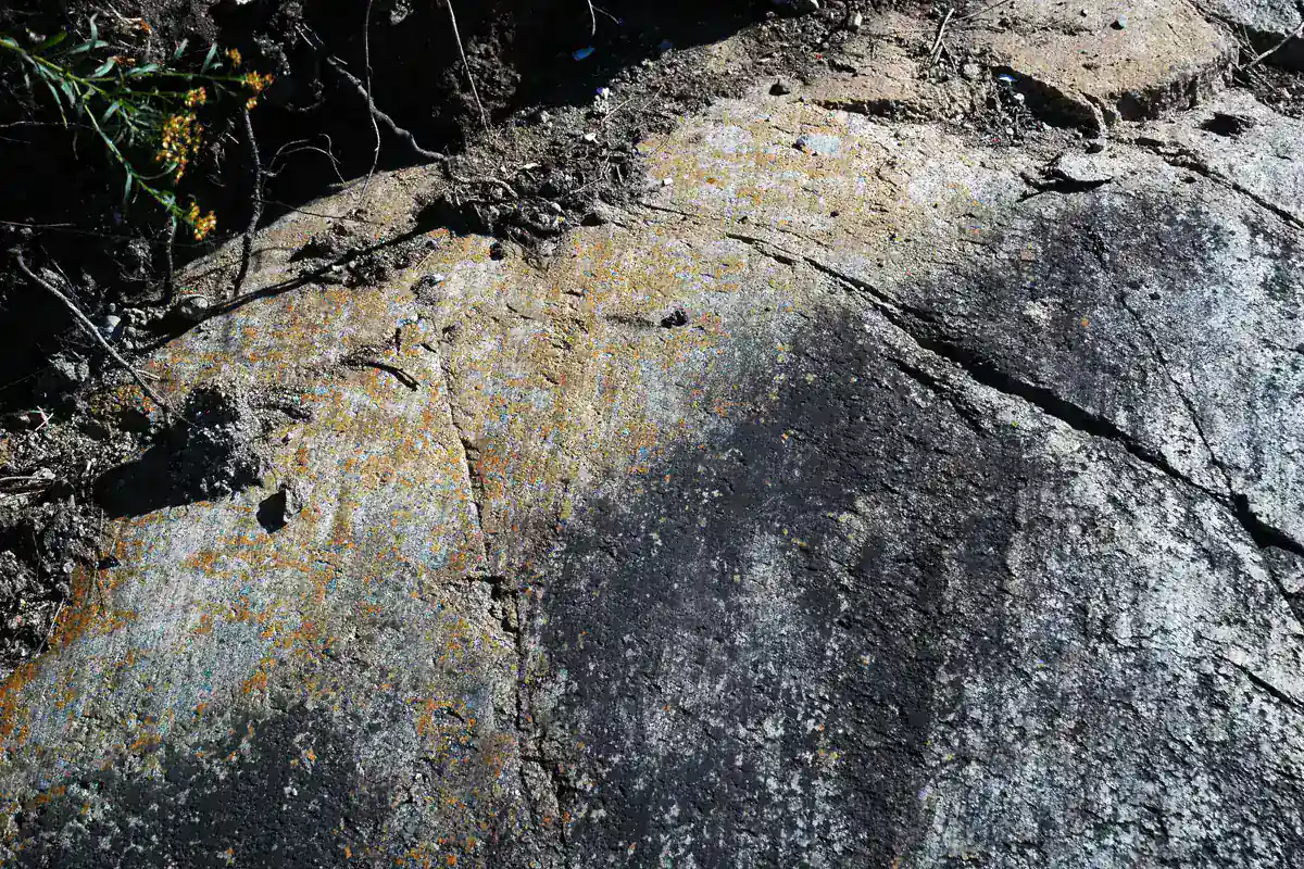 Close view of textured Mount Desert Island granite near Somes Sound