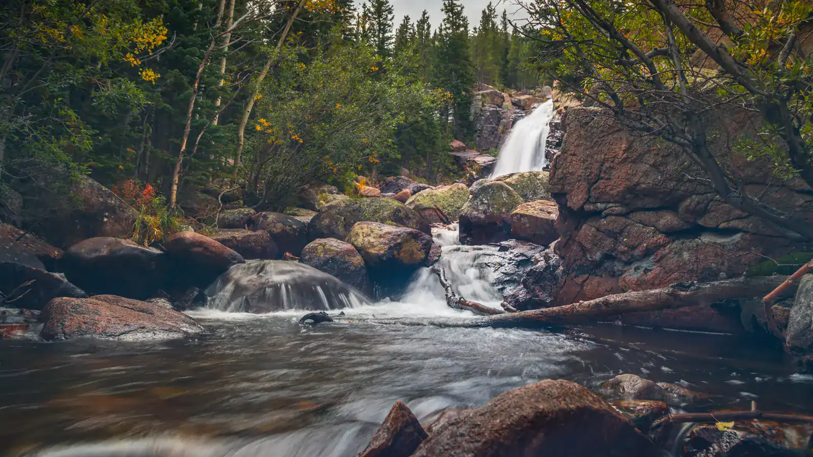 Alberta Falls Trail: Timed Entry, Shuttle, and Conditions