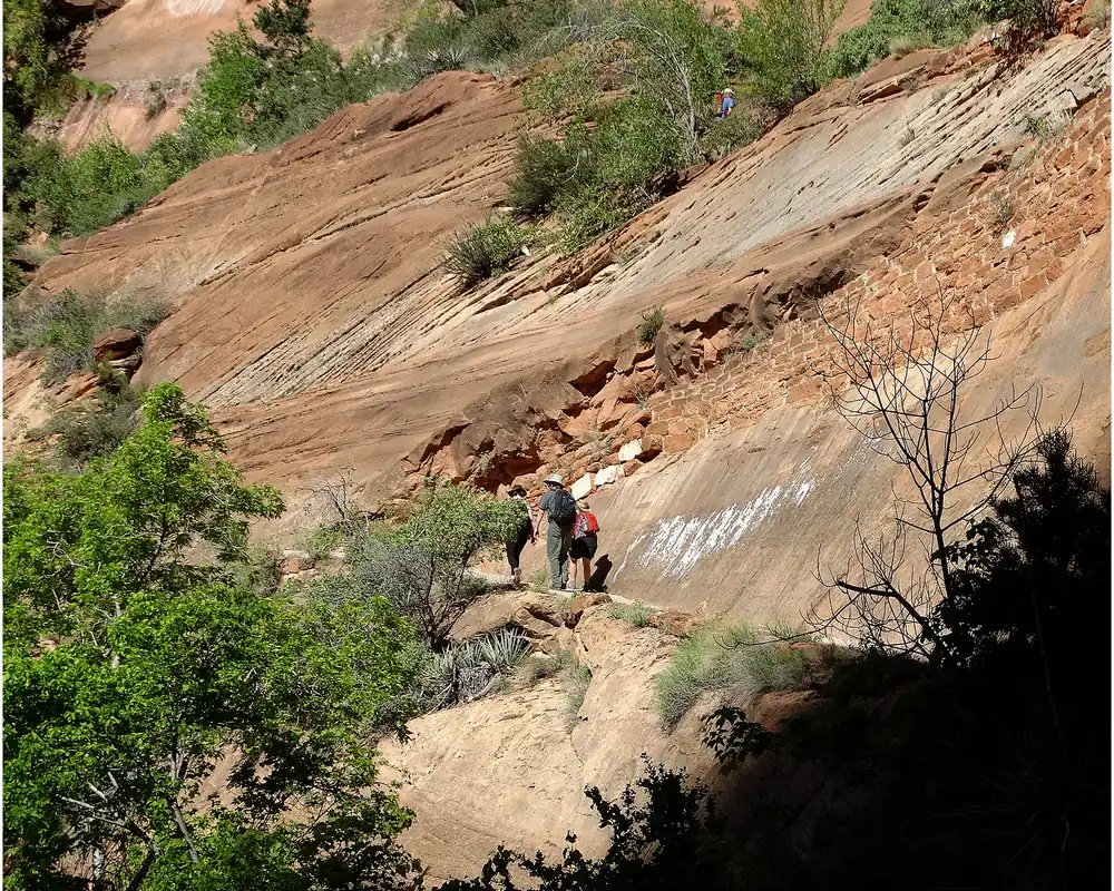 Hikers crossing West Rim Trail switchbacks cut into sandstone above Zion Canyon