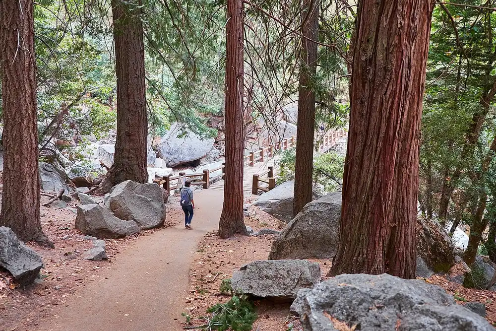A hiker approaching a wooden footbridge through forest on the Mist Trail - Mist Trail | KnowOutdoor