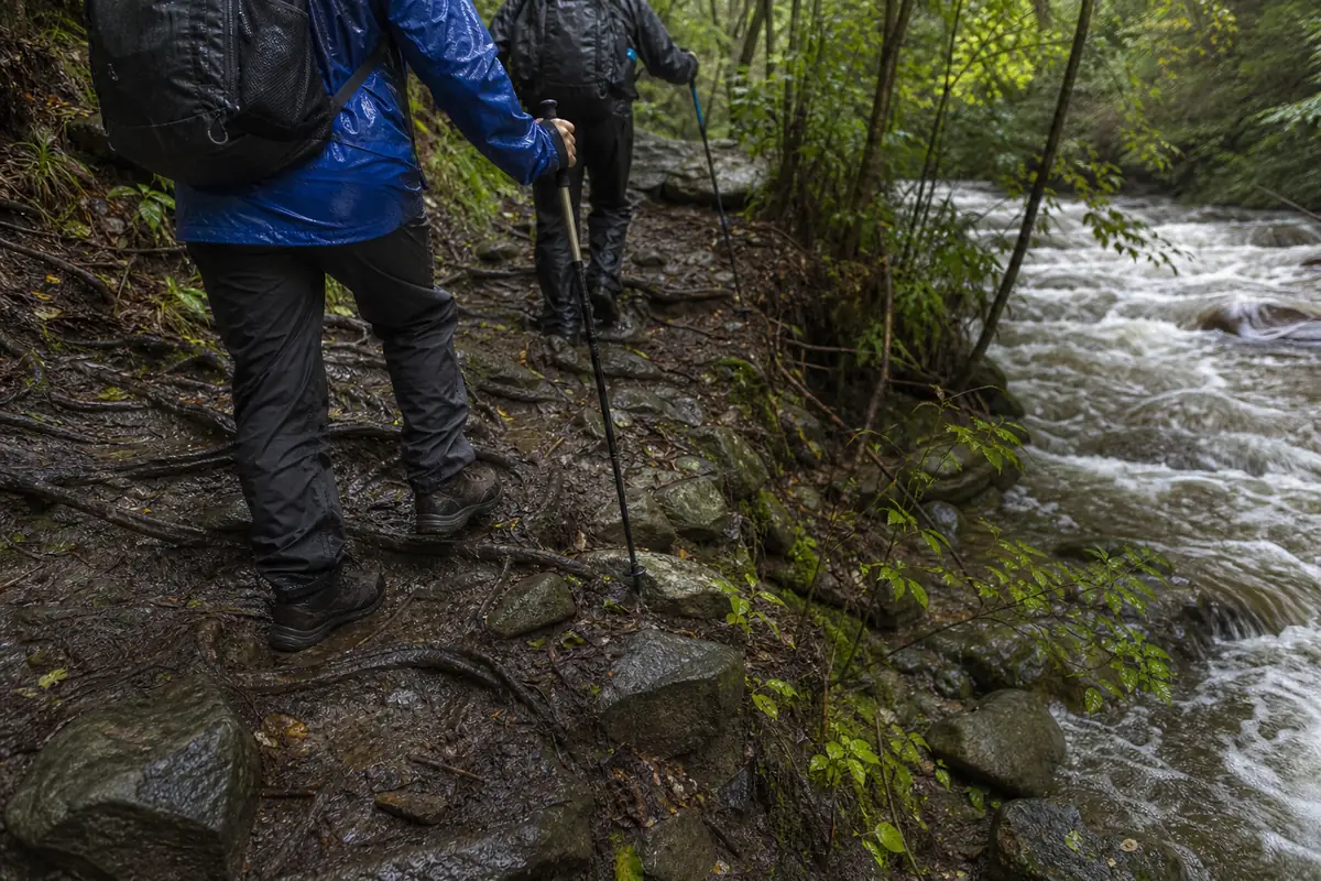 Trekkers using short careful steps on wet roots and rock beside a swollen stream - wet trekking footing | KnowOutdoor