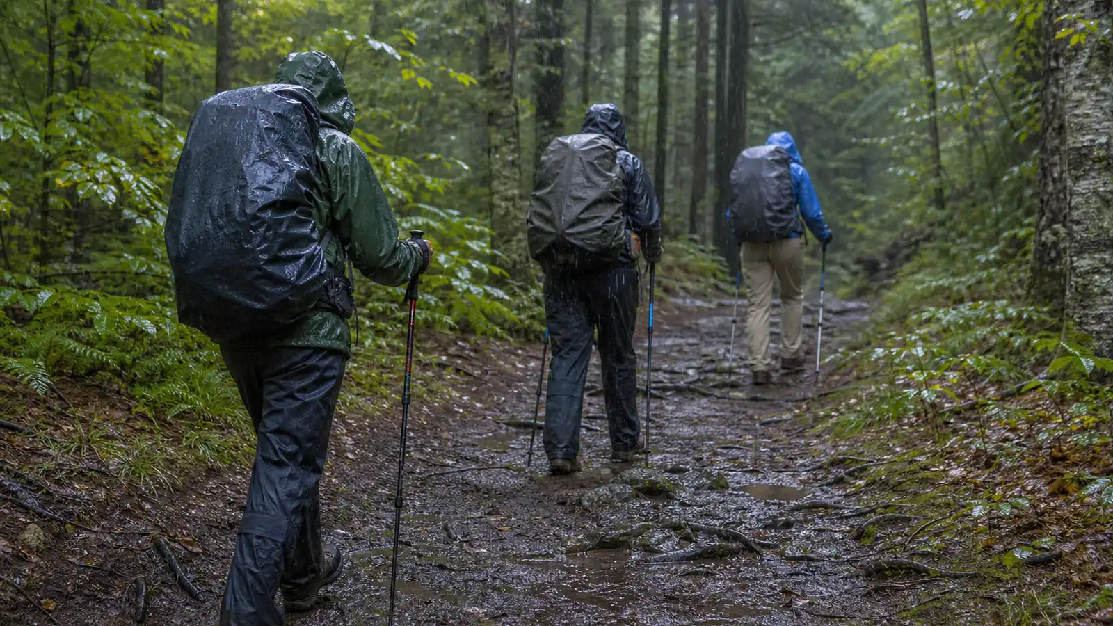 How Do You Protect Recovery While Trekking in the Rain?
